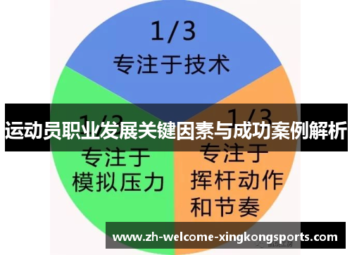 运动员职业发展关键因素与成功案例解析